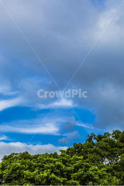 구름,하늘,감성,풍경,공원,햇살,자연,풍경,nature,landscape,outdoors,옥외,weather,날씨,sky,cloud,cumulus,적운