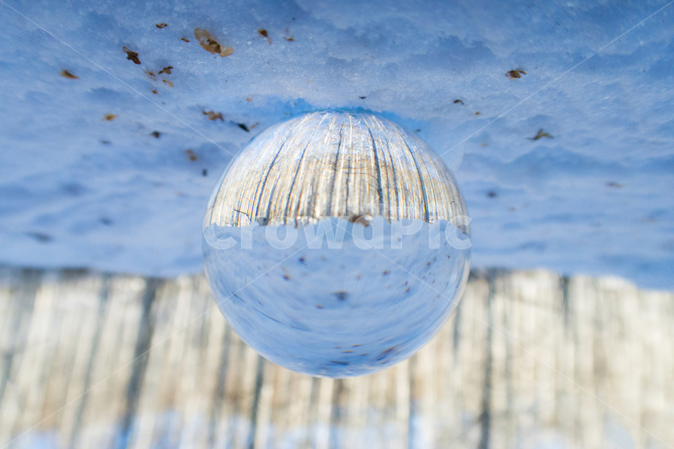 자연,풍경,자작나무,구슬,겨울,눈,눈밭,겨울,계절,winter,season,사물,물건,오브젝트,thing,object,matter,연출,컨셉,콘셉,direction,concept