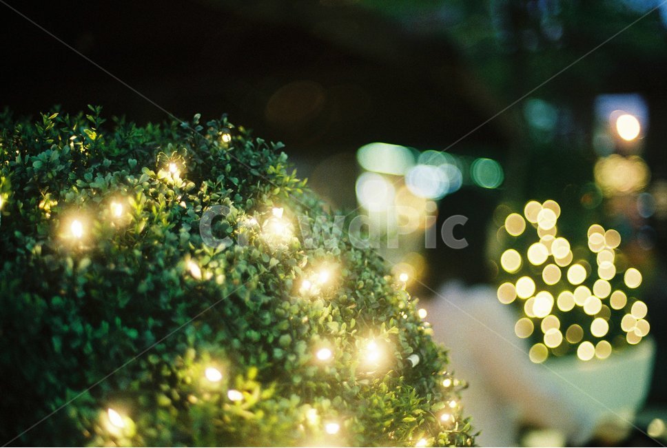 조명,보케,bokeh,빛,아웃포커싱,light,outfocusing,감성,sensible,feeling