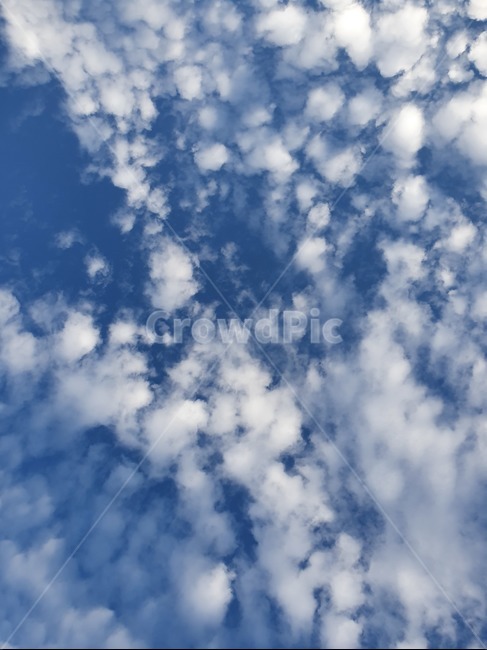 구름,하늘,여름,가을,cloud,sky,nature,자연,자연,풍경,nature,landscape,outdoors,옥외,azure sky,푸른 하늘