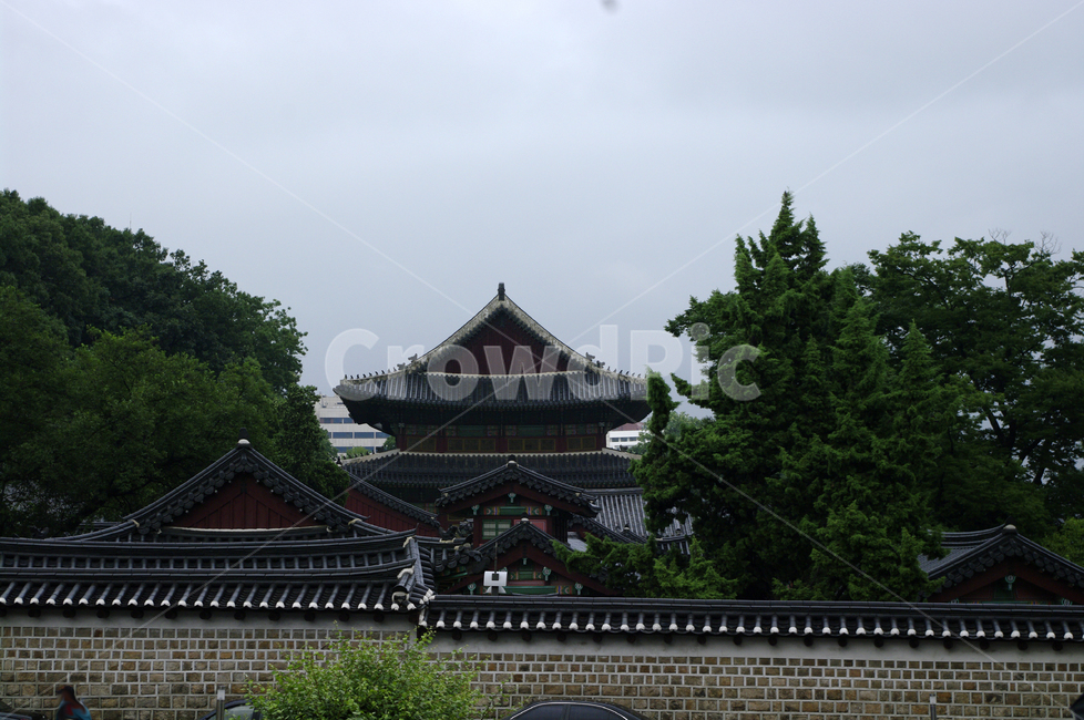 창덕궁,고궁,한옥,전통가옥,기와지붕,건축,traditional,나무,한국전통,한국문화,korean traditional,korean culture,랜드마크,landmark,tourist attraction,한국랜드마크,한국관광지,한국명소,korea landmark,korea tourist attraction,건축물,건물외관,exterior,building,structure,architecture,construction