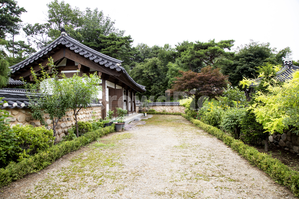 한옥,건물,전통,대문,담장,기와담장,기와집,처마,마당,조경,나무,화분,하늘,입구,옥외