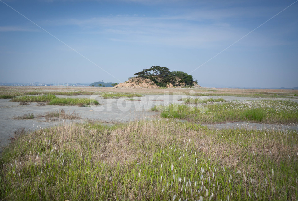 수섬,세렝게티,자연,풍경,들판,landscape,대자연,경기도,화성,한국의세렝게티,광활함,nature,자연,풍경,nature,landscape,한국자연풍경,한국자연경관,korea nature landscape,outdoors,옥외,grassland,목초지,field,들,land,땅