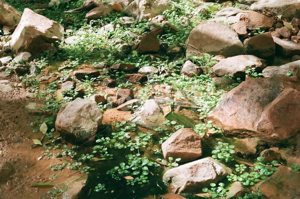 강물,풀,자연,풍경,풀잎,nature,rubble,파편