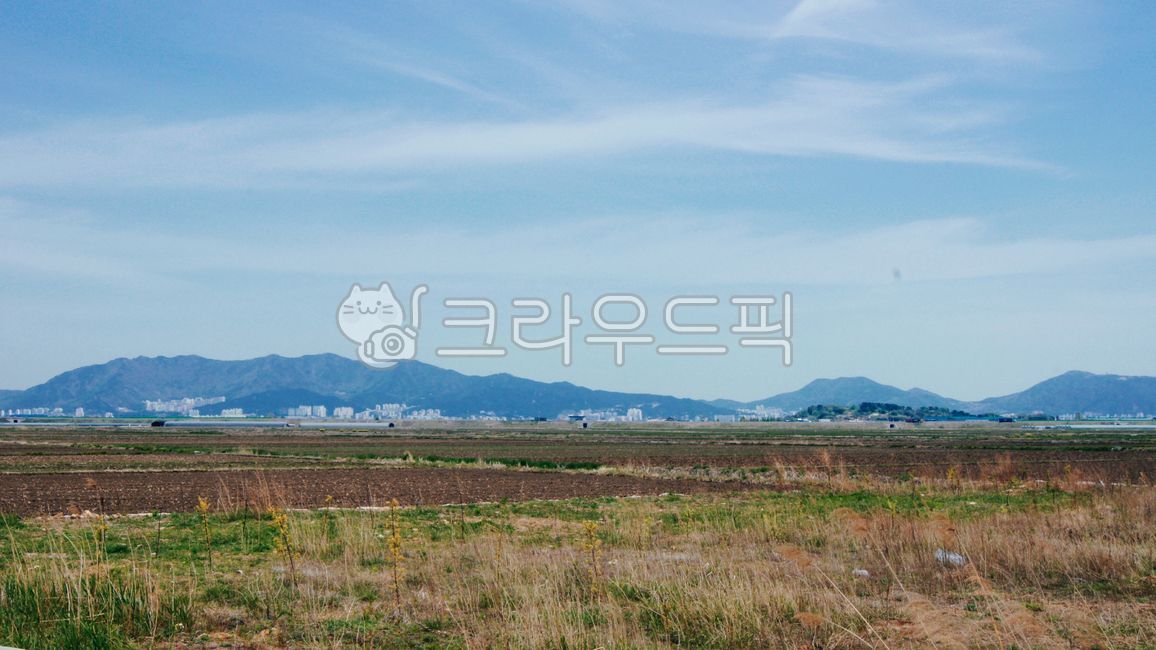 평야, 자연, 김해평야, 들판, 들녘, 사진,이미지,일러스트,캘리그라피 - 클빵작가