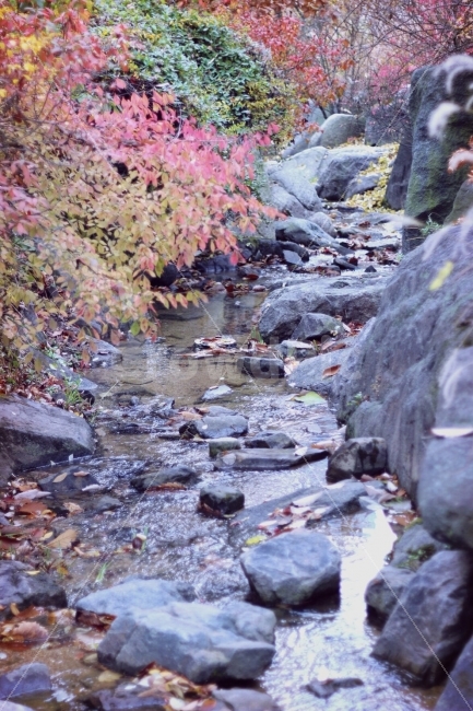 계절,가을,골짜기,단풍나무,돌,자연,풍경,nature,landscape,가을,계절,fall,autumn,season,water,물,outdoors,옥외,stream,흐름,creek,작은 만,rubble,파편