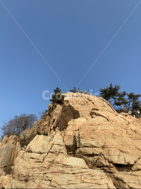 절벽,cliff,하늘,sky,나무,tree