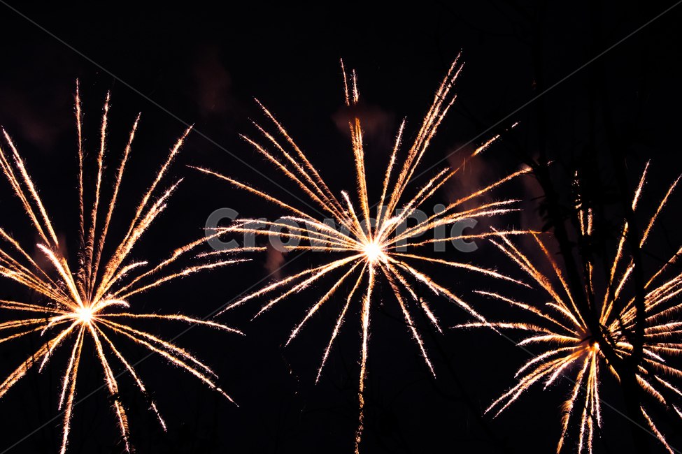 불꽃놀이,불꽃,폭발,불꽃축제,폭죽,장면,형형색색,밤하늘,밤,나무,즐거움,강렬함,행복,신기함,감성,하늘,구름,연기,firework,fireworks,fire,passion,pleasure,explosion,explode,colorful,tree,야외,나들이,여의도,공원,아이디어,번뇌,축제,폭발적인,이벤트,아름다움,밝음,빛,enthusiasm,park,festival,beautiful,bright,ecening,dark,view,light,shine,joy,happy,happiness,enjoy,intense,야경,밤,풍경,nightscape,night,landscape,축제,행사,festival,carnival,event