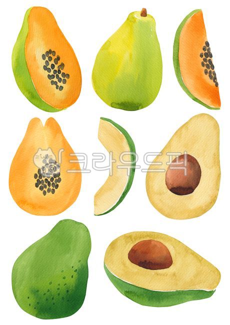 그림,일러스트레이션,일러스트,드로잉,오브젝트,누끼,자연,여름,계절,시즌,수채화,수작업,손그림,열대,트로피컬,열대식물,여름식물,식물,나뭇잎,열대나뭇잎,야자수,야자잎,음식,과일,식품,파파야,아보카도,열대과일,여름과일,illustration,watercolor,painting,drawing,hand,drawn,object,png,summer,season,tropical,plants,plant,food,fruit,papaya,avocado