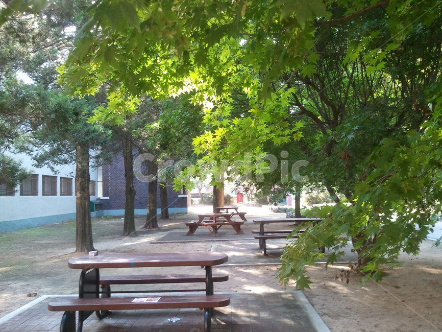 공원,나무의자,나무,정원,bench,나무가지