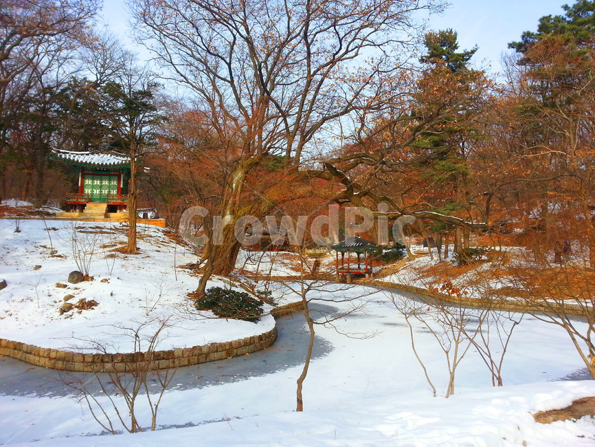 창덕궁,후원,유네스코,문화유산,관광,changdeokpalace,garden,unesco,heritage,tour,tourism,palace,korean,겨울,계절,winter,season,랜드마크,landmark,tourist attraction,한국랜드마크,한국관광지,한국명소,korea landmark,korea tourist attraction