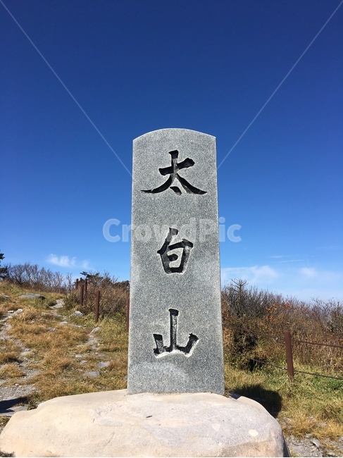 태백산,봉우리,산,등산,산행