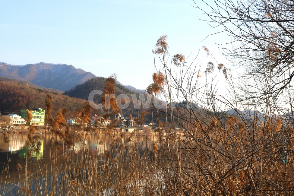 자연,풍경,겨울,나무,강,북한강,강물,물,산,가평,경기도,갈대,건물,집,자연,풍경,nature,landscape,grass,잔디,plant,식물,lawn,reed