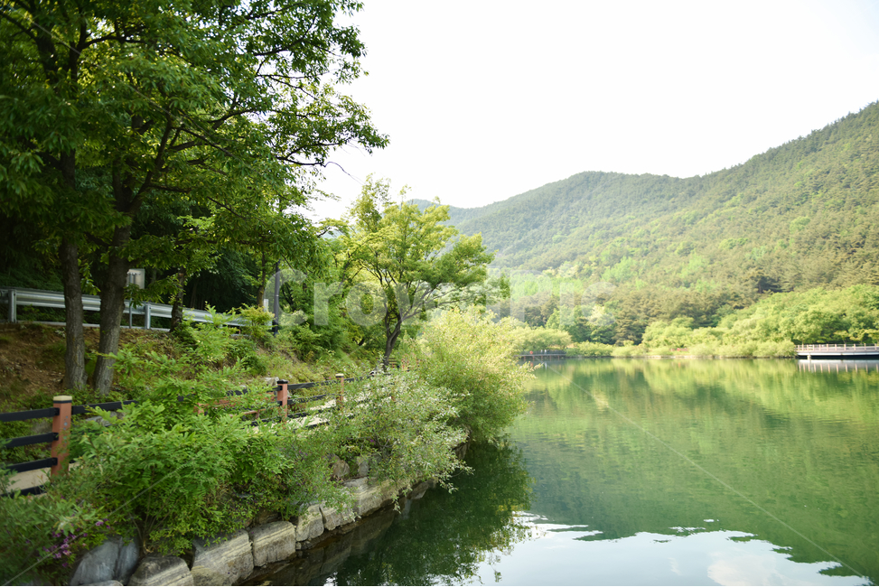 풍경,호수,자연경관,산,나무,자연,녹색,힐링,신선함,안식처,plants,nature,feeling,색깔,색상,색채,색감,colorsensitivity,feelingofcolor,평온함,koreanaturelandscape