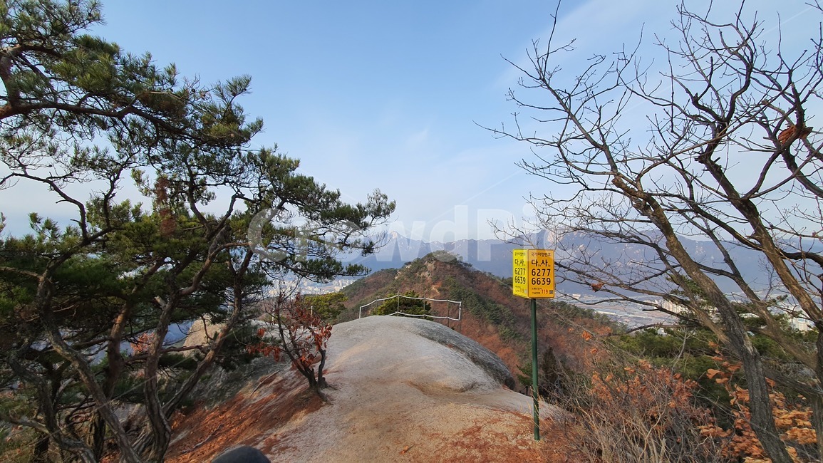 산,mountain,nature,자연,outdoors,옥외,countryside,한지방,hill,언덕,tree,나무,plant,식물,treetrunk,나무줄기,경치,전경,landscape