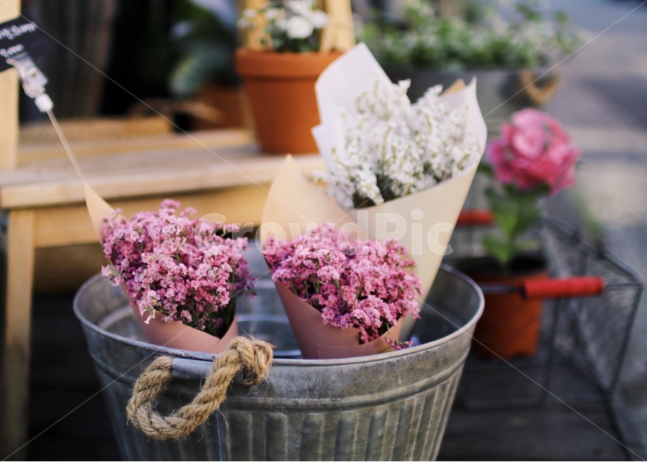 꽃,화분,감성사진,꽃다발,감성,골목,여름,봄,선물,식물,자연,plants,nature,꽃,flower,감성,sensible,feeling