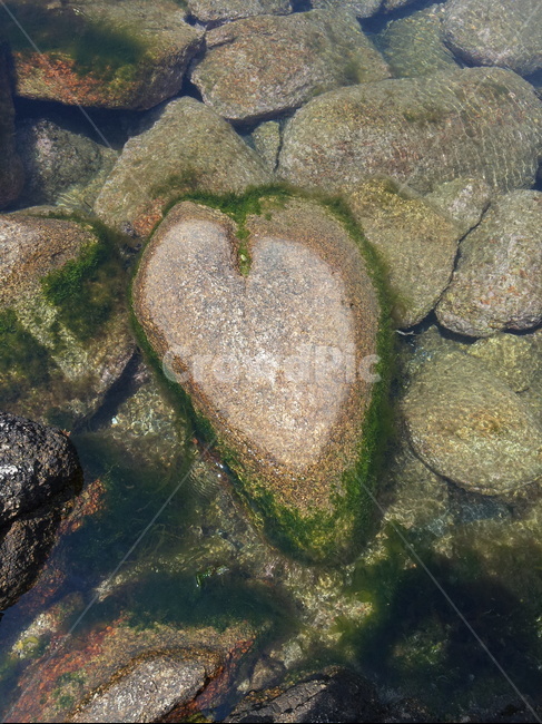 사랑,시간,세월,love,바다
