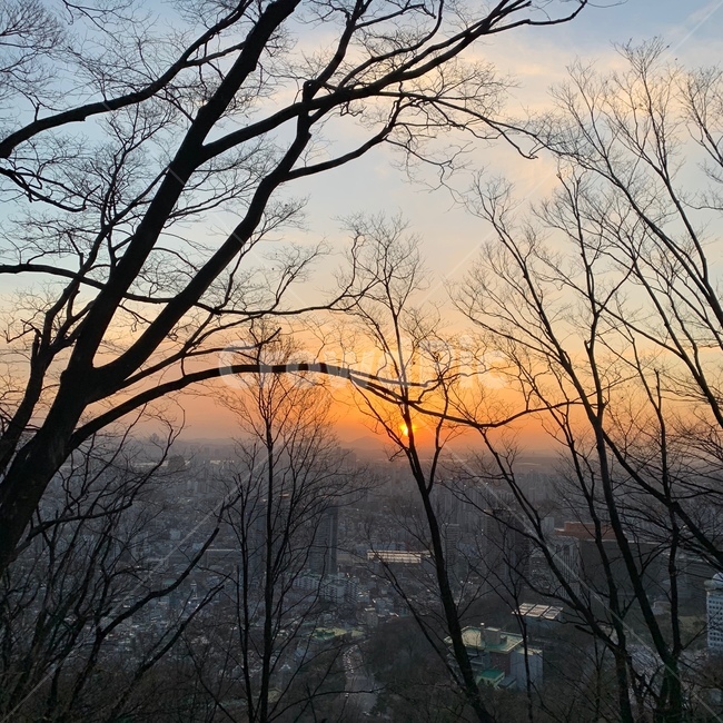 하늘,서울,시티,뷰,자연,풍경,나무,일몰