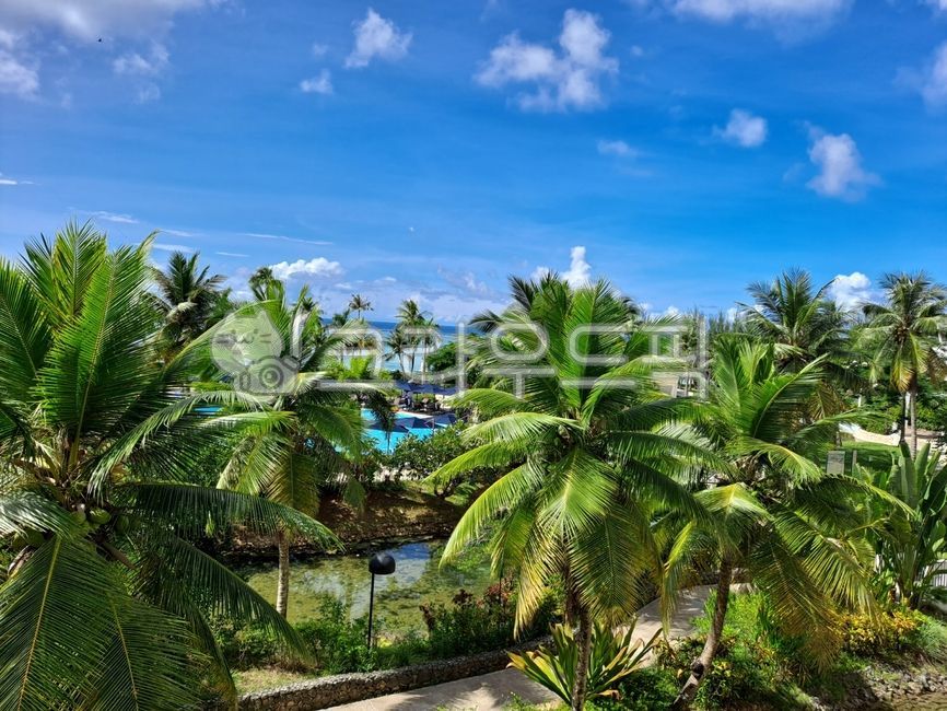 sky,cloud,palm tree,blue sky,Saipan,palmtrees