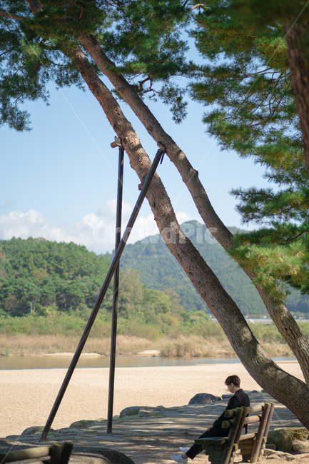 풍경,모래,나무,인물,사람,tree,plant,식물,산,구름,맑음,야외,옥외,나뭇가지,의자,돌,사진작가,인간,강,사람,인물,인간,human,person,고독함,외로움,쓸쓸함,우울함,슬픔,lonely,solitary