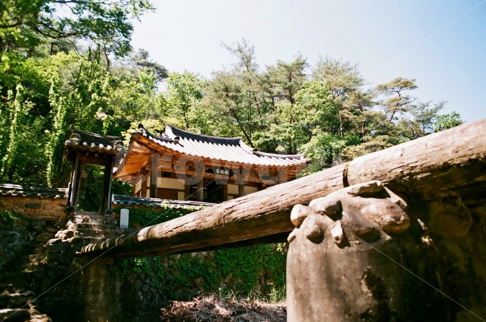 안동만휴정,만휴정,한옥,분위기,필름사진,한국전통,한국문화,korean traditional,korean culture,감성,sensible,feeling