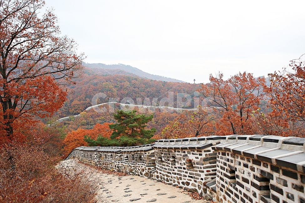 남한산성,성,성곽,단풍,낙엽,길,둘레길,담,돌담,가을,자연,풍경,벽,울긋불긋,산성,식물,가을,계절,fall,autumn,season,한국전통,한국문화,korean traditional,korean culture,path,통로,walkway,보도
