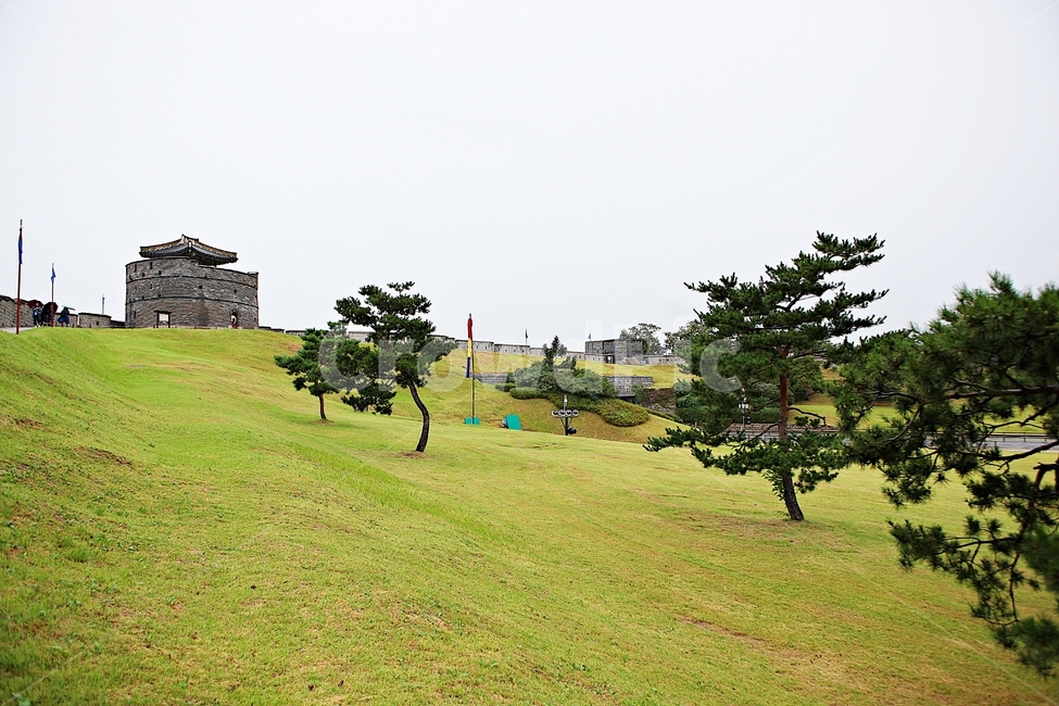 수원화성,성,성곽,길,둘레길,돌담,담,가을,자연,풍경,벽,방어벽,흙담,식물,전통,한국전통,한국문화,korean traditional,korean culture