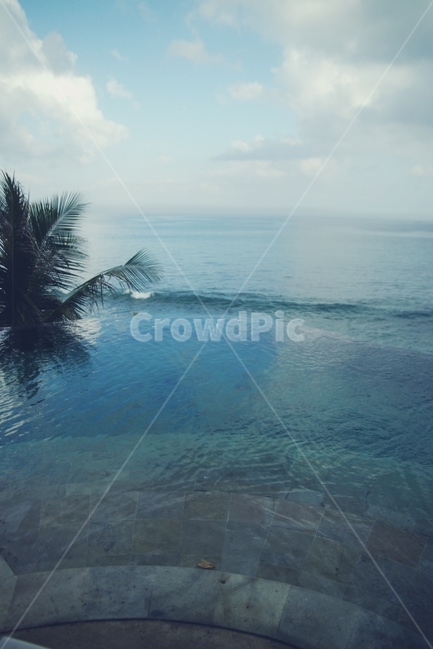 수영장,야자수,야자,인피니트,infinite,infinitepool,pool,바다,sea,수평선,수영,swim,발리,bali,자연,풍경,nature,landscape