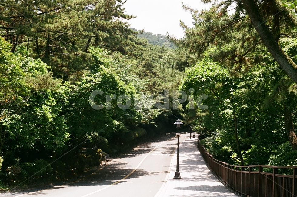 정원,공원,나무,숲,산책,outdoors,옥외,garden,arbour,자연,풍경,nature,landscape