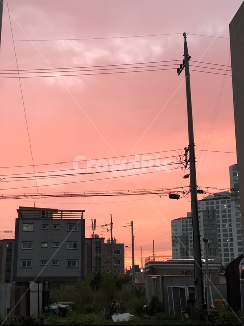 노을,핑크색하늘,붉은하늘,하늘,전봇대,도시,풍경,city,landscape