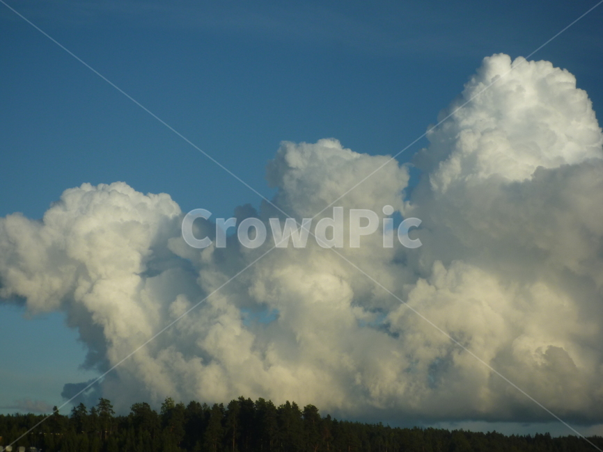 구름,하늘,sky,cloud,nature,자연,숲,forest,파란색,흰색,blue,white
