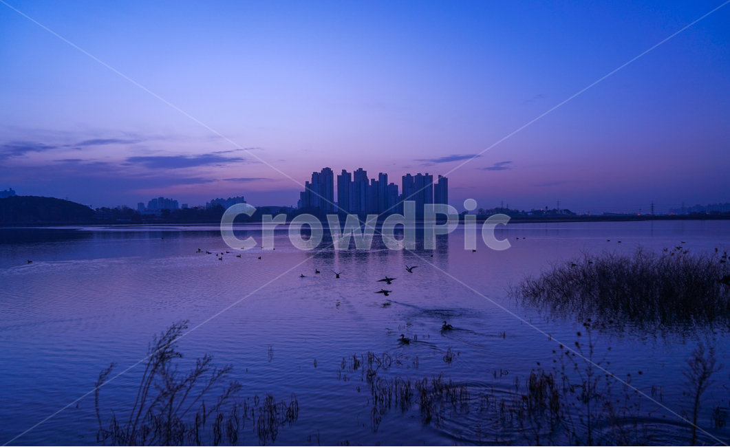 호수,여명,새,철새,물,동물,풍경,도시,풍경,city,landscape,한국도시풍경,한국도시경관,korea cityscape,nature,자연,outdoors,옥외,water,land,땅