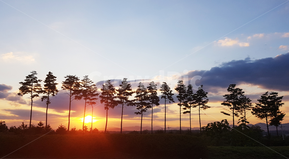 자연,outdoors,옥외,nature,태양,구름,하늘,일출,일몰,나무,나란히,와이드,장관,경치
