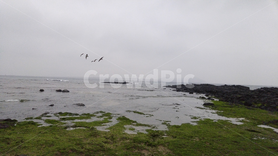 water,sea,대양,ocean,나라,물,바다,shoreline,해안선,제주,제주도,제주바다,제주하늘,제주도바다,제주도하늘,해안,해변,방파제,경치,land,옥외,outdoors,자연,nature,바닥,ground,자연,풍경,nature,landscape