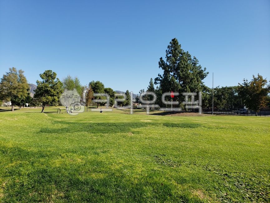 필드,골프,스포츠,그린,골프코스,나무,하늘,golf,golfcourse,nature,field