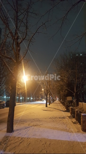 쓸쓸함,고독함,밤길,아파트길,눈길