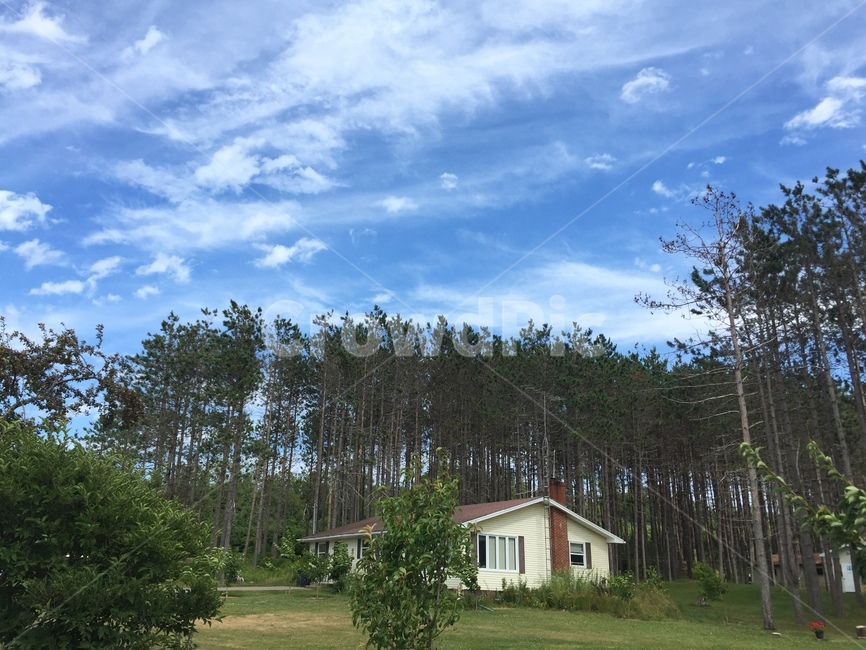 캠핑,자연,나무,맑은,화장실,camping,nature,캐나다,청량,하늘,구름,빽빽