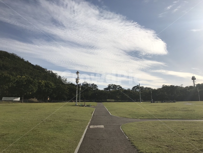 잔디,공원,풍경,맑음,자연