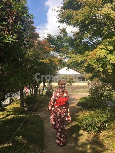기모노,후쿠오카,일본,가을후쿠오카,일본가을,기모노가을,기모노단풍,단풍속기모노,사람,인물,인간,human,person,여성,여자,woman,female,lady