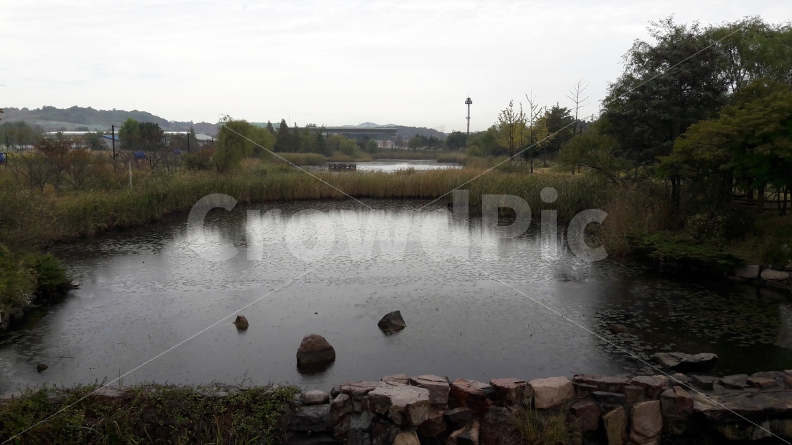 비,연못,흐림,갈대,돌,자연,풍경,nature,landscape,water,물,land,땅,outdoors,옥외