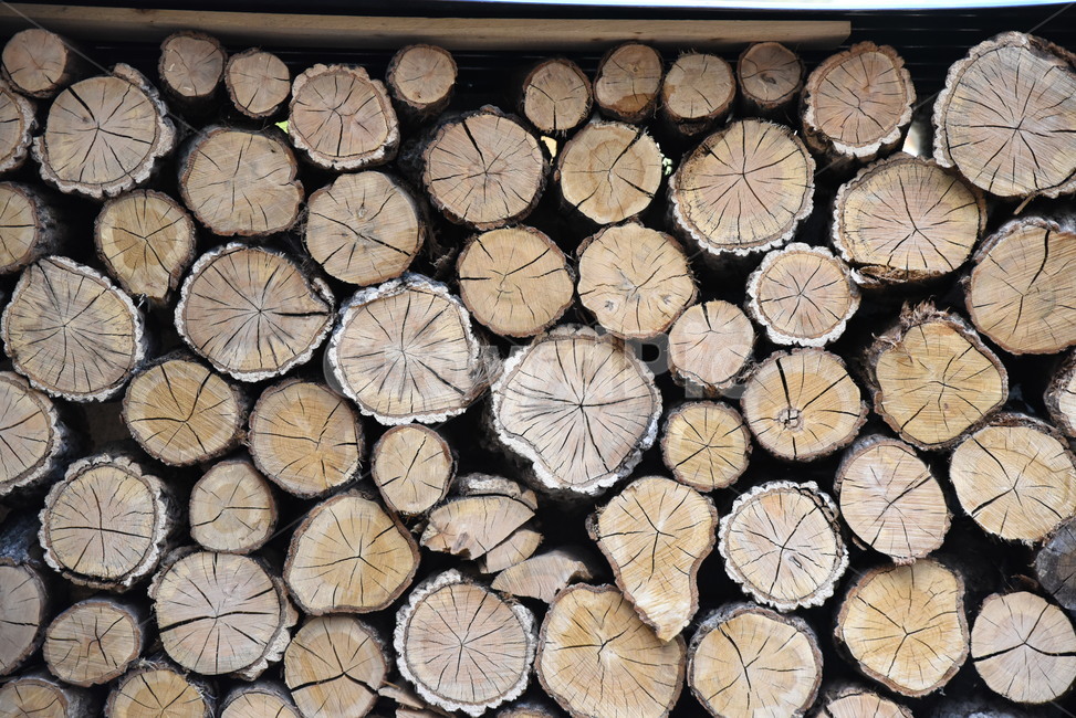 wood,목재,나무,땔나무,장작