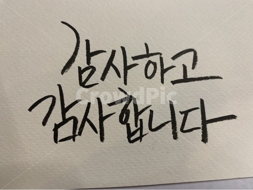 캘리그라피,캘리,붓글씨,서예,손글씨,선물,엽서,calligraphy,감사카드,캘리그라피,손글씨,calligraphy