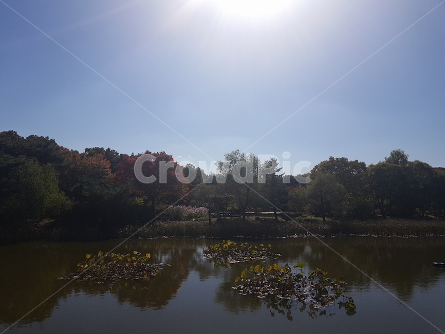자연,풍경,물,nature,water