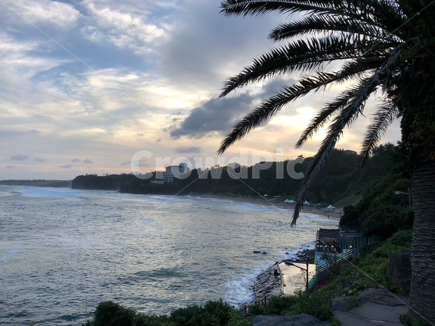 summer,여름,제주도,제주,서귀포,한국,제주바다,야자수,해변,자연,풍경,nature,landscape