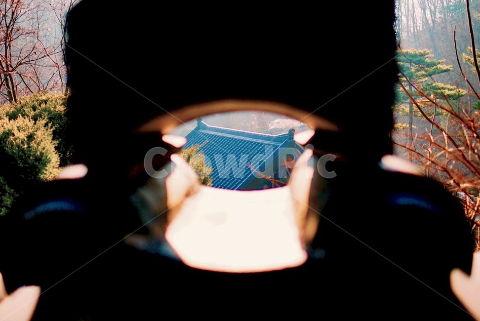화사한,절,프레임,감성,emotion