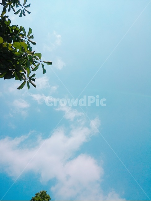 하늘,구름,여름,색감,계절,초록,나뭇잎,파랑,sky,cloud,summer,seasons,green,blue