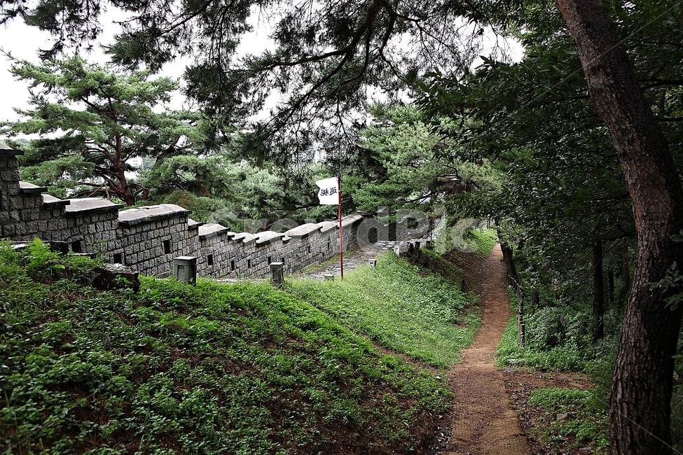 수원화성,성,성곽,길,둘레길,담,돌담,가을,자연,풍경,벽,방어벽,전통,흙담,식물,한국전통,한국문화,korean traditional,korean culture