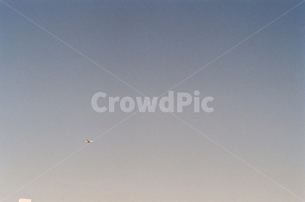하늘,비행기,맑음,sky,airplane,자연,풍경,nature,landscape,animal,동물,bird,새,flying,나는,outdoors,옥외
