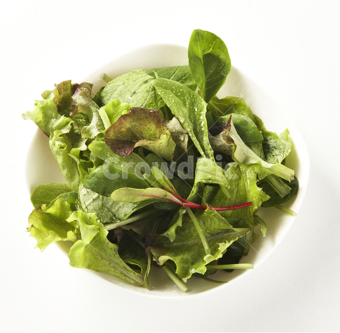 샐러드,건강,자연,salad,diet,food,다이어트,식물,어린잎,허브,음식,식재료,요리,food,cook,meal,dishes,food reserves