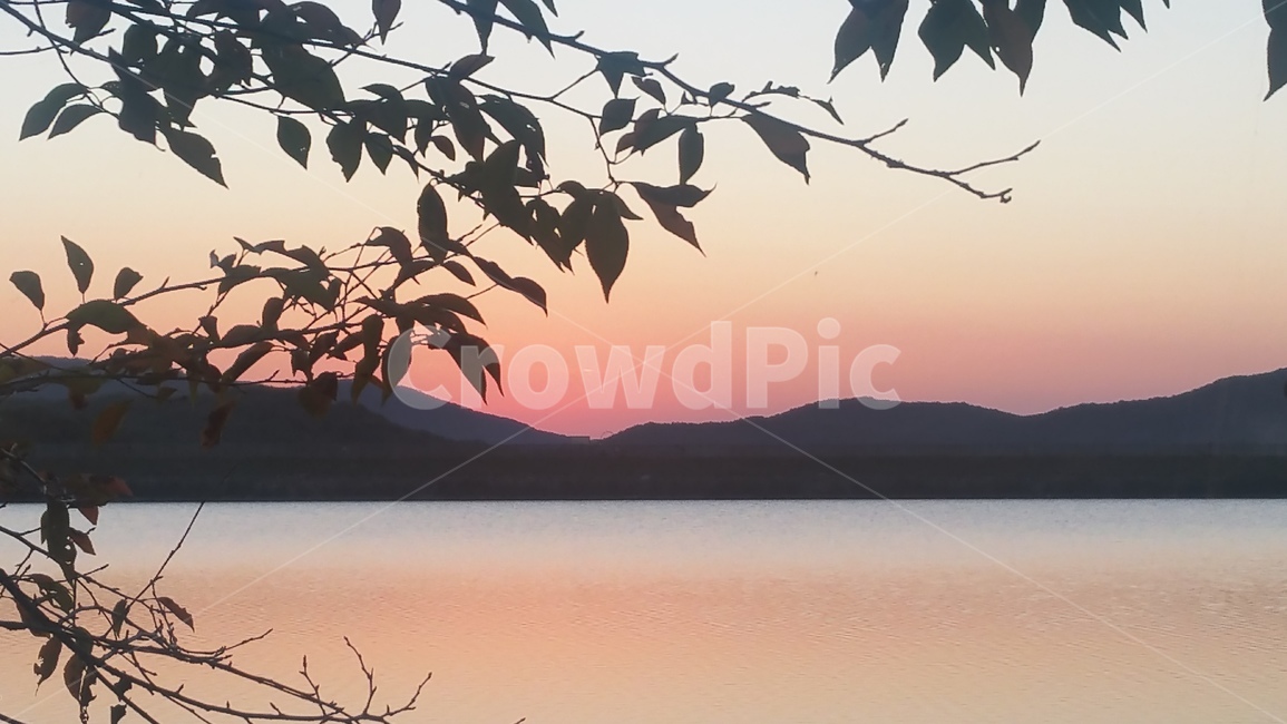 석양,호수,경치,산,나뭇잎,붉은,노을
